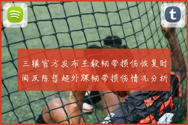 三镇官方发布王毅韧带损伤恢复时间及陈哲超外踝韧带损伤情况分析