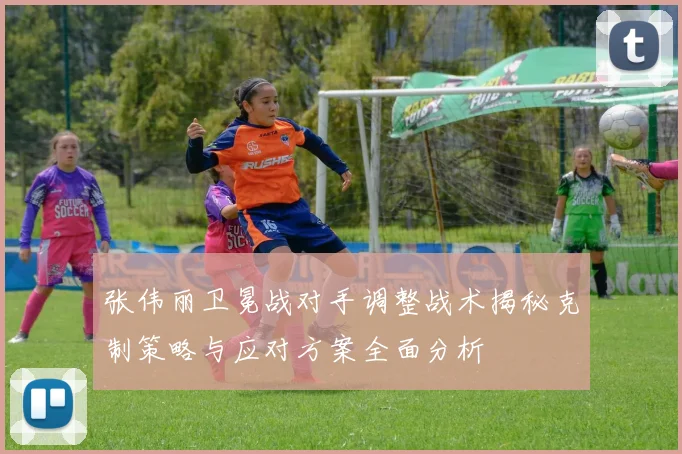 张伟丽卫冕战对手调整战术揭秘克制策略与应对方案全面分析
