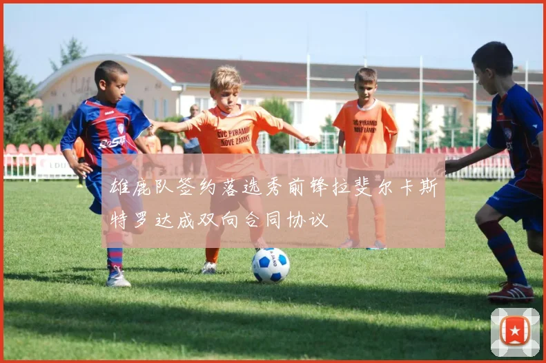 雄鹿队签约落选秀前锋拉斐尔卡斯特罗达成双向合同协议
