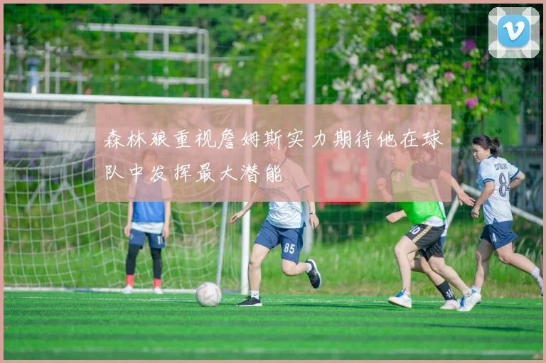 森林狼重视詹姆斯实力期待他在球队中发挥最大潜能