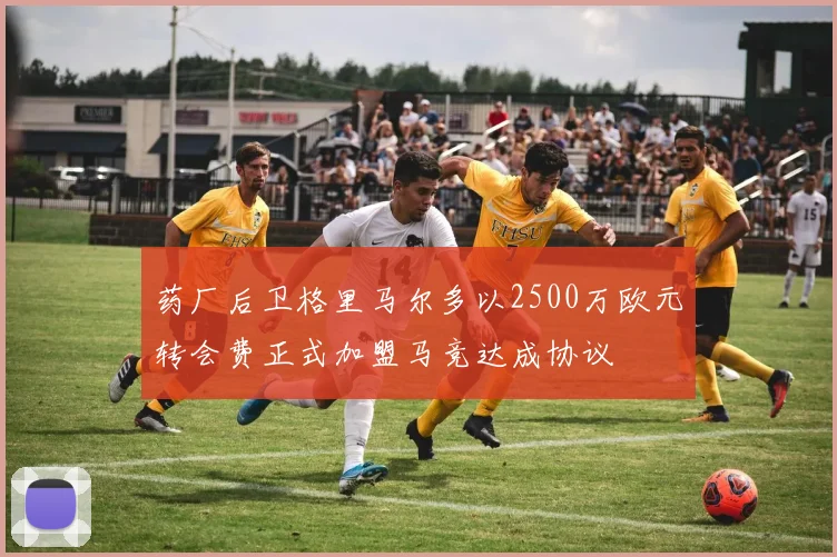 药厂后卫格里马尔多以2500万欧元转会费正式加盟马竞达成协议