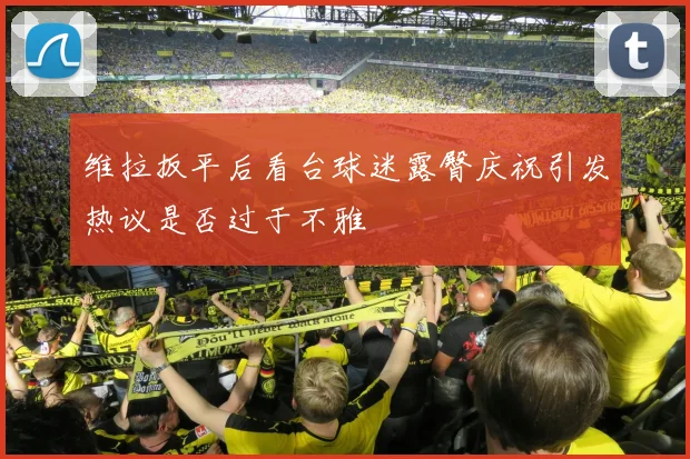 维拉扳平后看台球迷露臀庆祝引发热议是否过于不雅