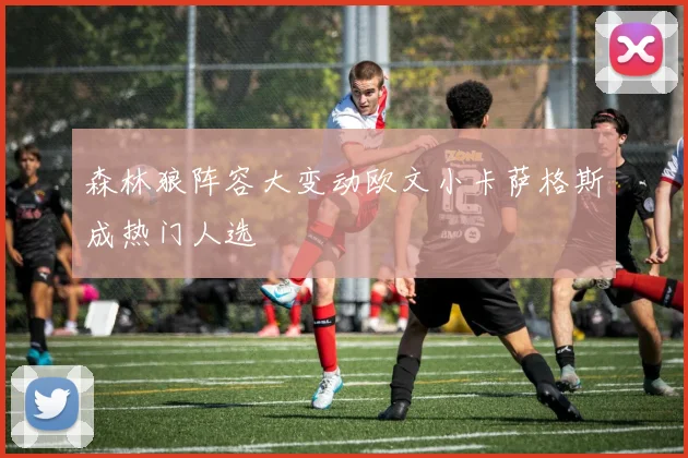 森林狼阵容大变动欧文小卡萨格斯成热门人选