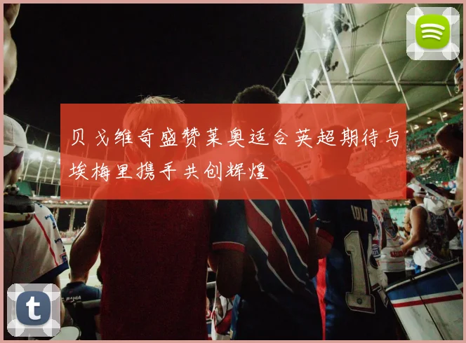贝戈维奇盛赞莱奥适合英超期待与埃梅里携手共创辉煌